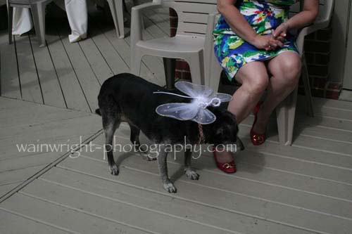 IMG2_1894